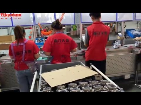 Assembly Line Of Chainsaw Engine
