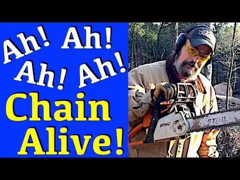 How Long Does a CHAINSAW CHAIN Last - When To REPLACE Chain