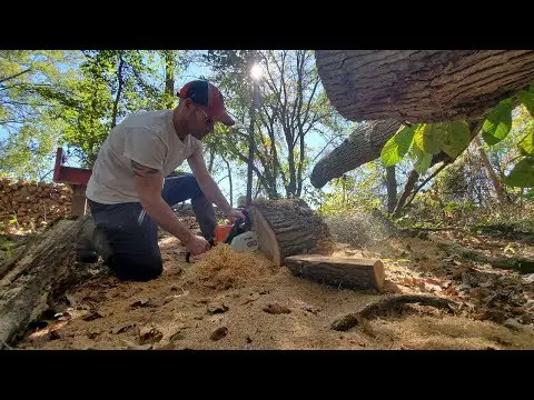 Stihl MS170 Review - Over 1 Month Of Heavy Use