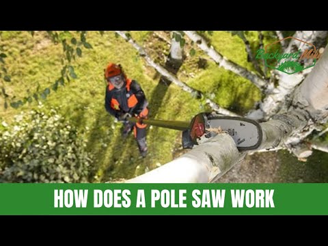 How Does A Pole Saw Work