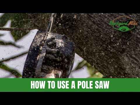 How to Use a Pole Saw