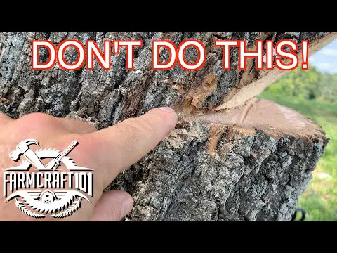 No Nonsense Guide to Tree Felling. How to cut down a tree safely. FarmCraft101