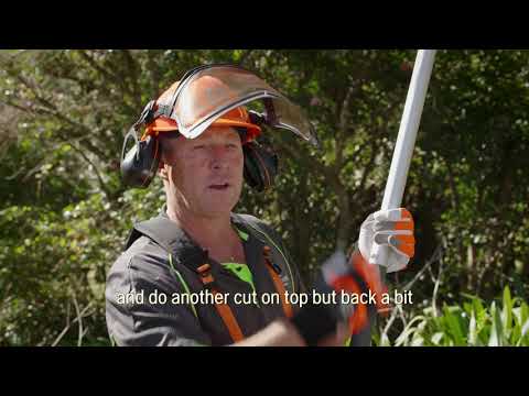 Pole Saw Cutting Techniques - Verduous Gardens