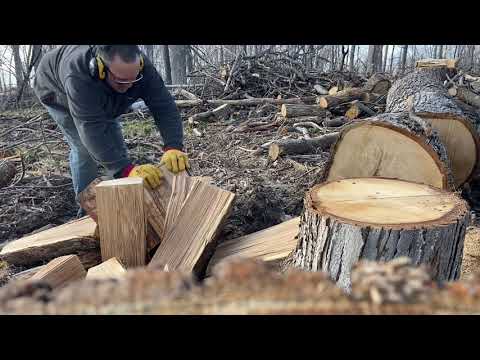 Splitting fresh cut white oak and white oak that has dried.