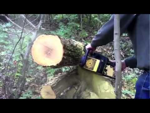 Chainsaw Buyers Guide- Which One is Best for you? (Power Equipment Plus)