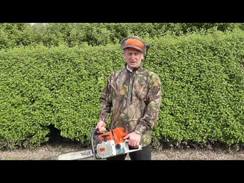 Hedge Cutting With A Chainsaw (How to Carefully and Tactfully Prune Your Hedge with a Chainsaw)
