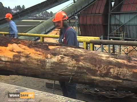 Safe Operation of Chainsaws