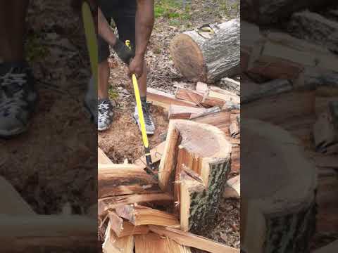 Splitting green oak