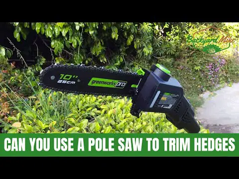 Can You Use A Pole Saw To Trim Hedges?