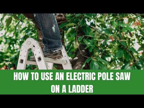 How To Use An Electric Pole Saw On A Ladder