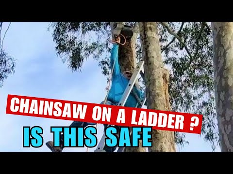 Is it Safe Using a Chainsaw on a Ladder? Oregon CS1500 Electric Saw!