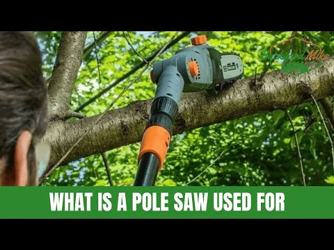 What Is A Pole Saw Used For?