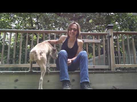 Thigh Chaps measurement and sizing instructions