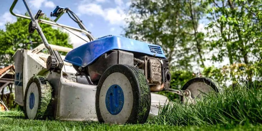 Backyard Mike - Outdoor Power Equipment - Header