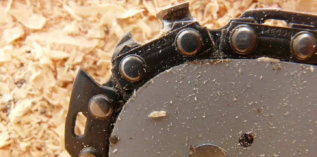 Best Chainsaw Chain For Hardwood | 2021 Reviews