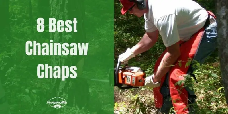 Best Chainsaw Chaps