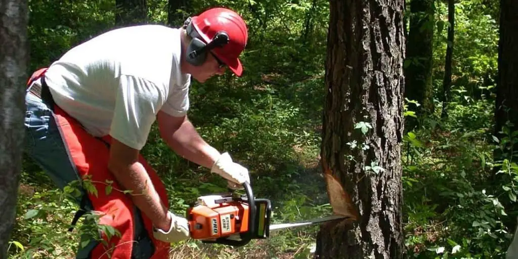 Best Chainsaw Chaps and Pants Safety First 2022 Reviews