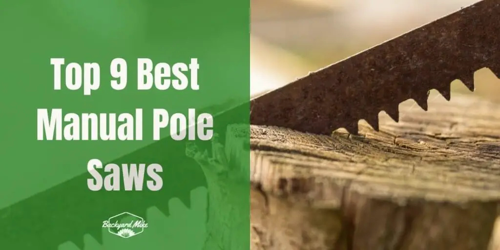 Top 9 Best Manual Pole Saws Home Use & Professional 2024 Reviews