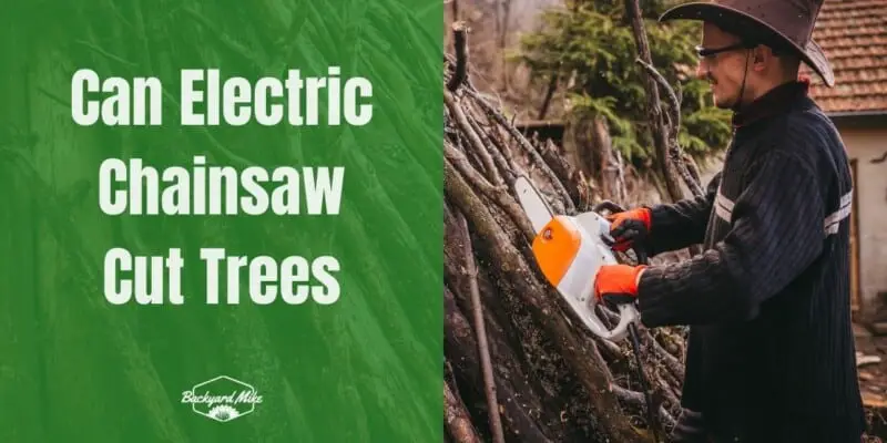 Can Electric Chainsaw Cut Trees