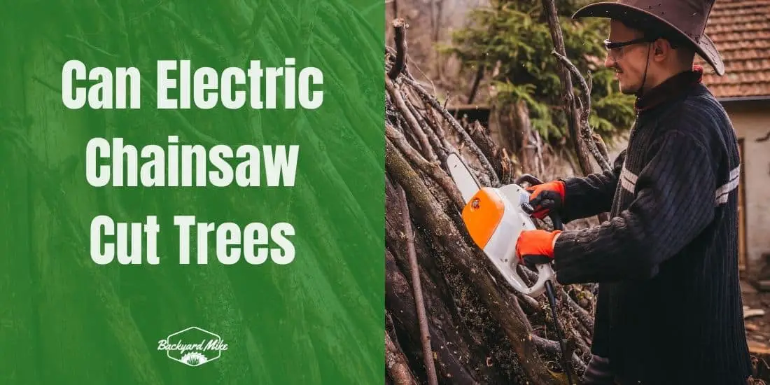 Can Electric Chainsaw Cut Trees And Is It Possible In Wet Conditions?