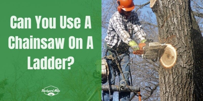 Can You Use A Chainsaw On A Ladder
