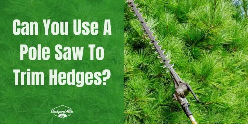 Can You Use A Pole Saw To Trim Hedges