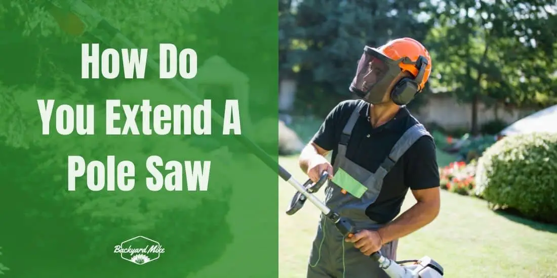 How Do You Extend A Pole Saw Backyard Mike