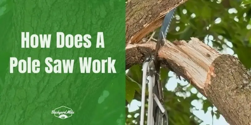 How Does A Pole Saw Work