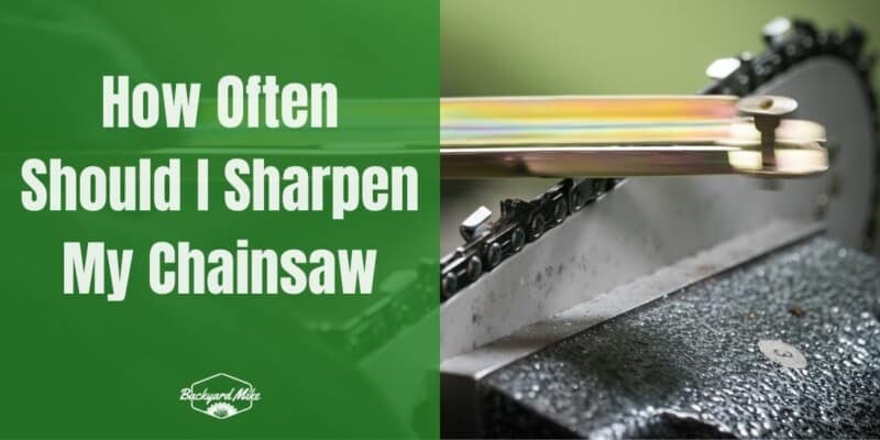 How Often Should I Sharpen My Chainsaw