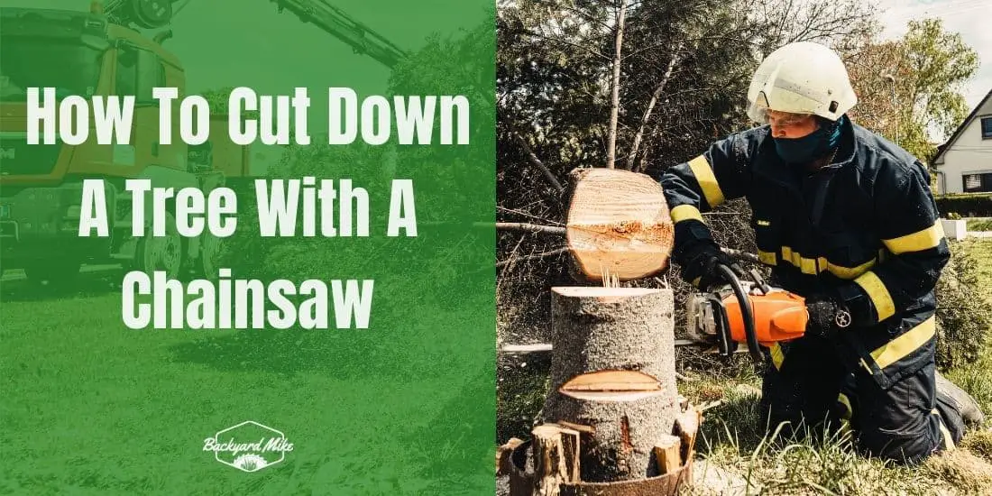 How To Cut Down A Tree With A Chainsaw Backyard Mike