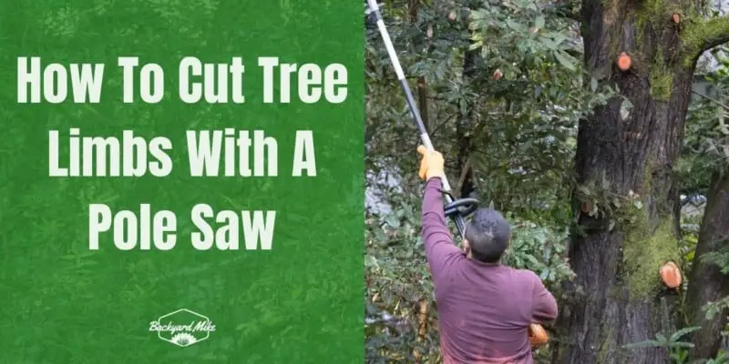 How To Cut Tree Limbs With A Pole Saw