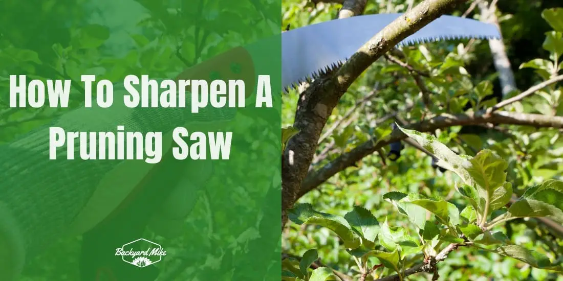 How To Sharpen A Pruning Saw Backyard Mike
