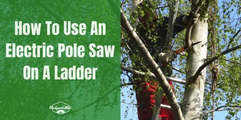 How To Use An Electric Pole Saw On A Ladder