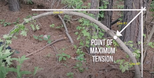 How To Use A Pole Saw (Step-By-Step Guide And Important Safety Tips) 5 Point Of Maximum Tension