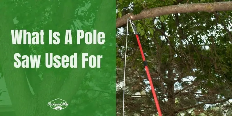 What Is A Pole Saw Used For