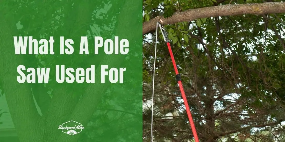 What Is A Pole Saw Used For
