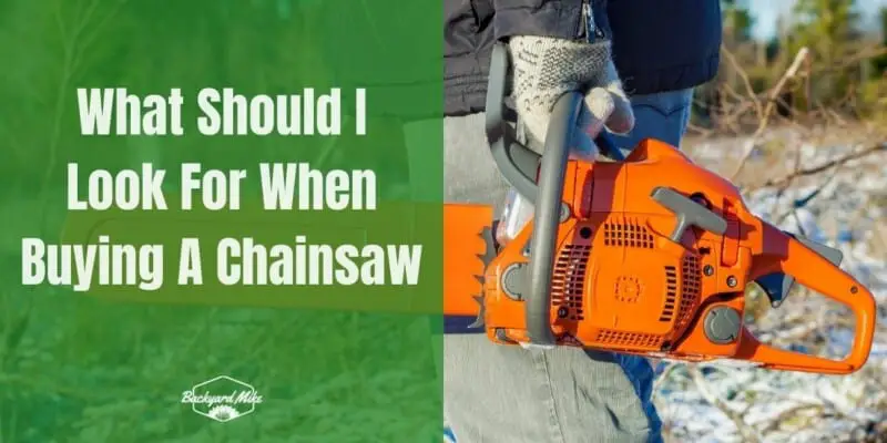 What Should I Look For When Buying A Chainsaw