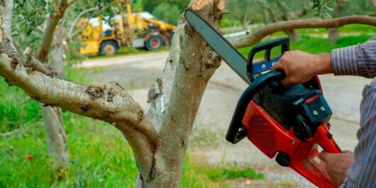 Are Battery Chainsaws Any Good? 3 person using a battery chainsaw to cut tree branches