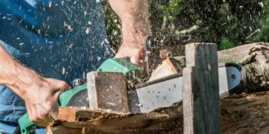 Are Electric Chainsaws Any Good? 2 person using electric chainsaw to cut wood