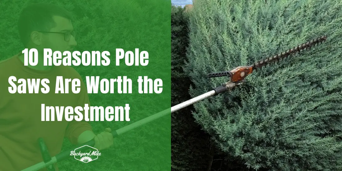 10 Reasons Pole Saws Are Worth the Investment 31 are pole saws worth it