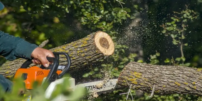 The 9 Best Chainsaw For Cutting Firewood In 2022