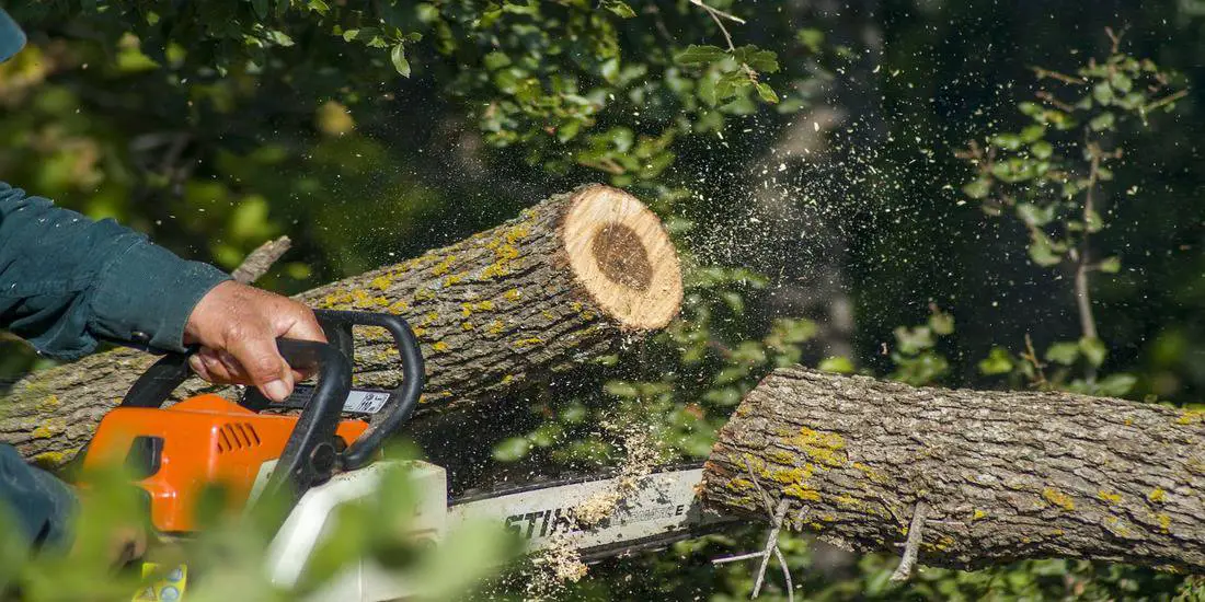 best chainsaw for cutting firewood1