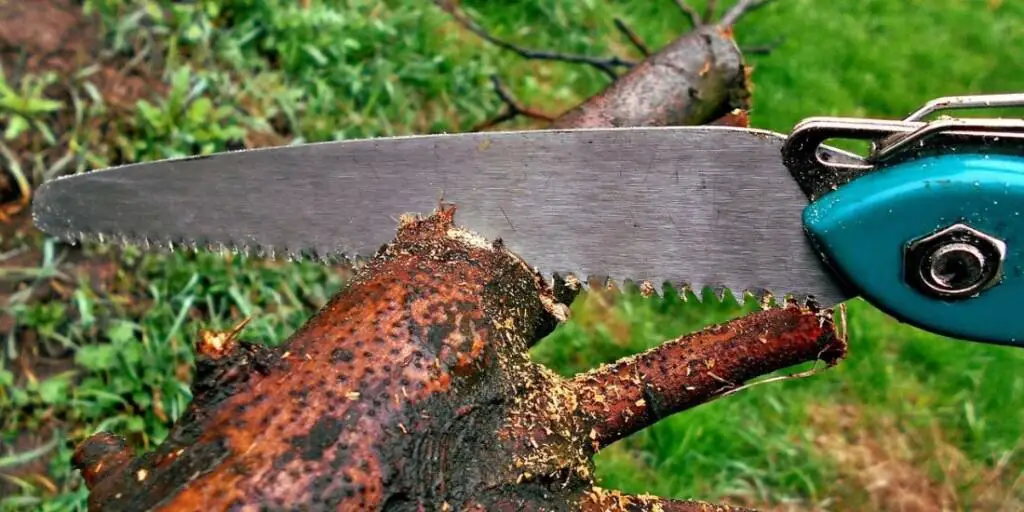 Top 9 Best Manual Pole Saw BestRated & Professional 2022 Reviews