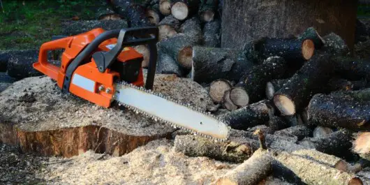 chainsaw and logs