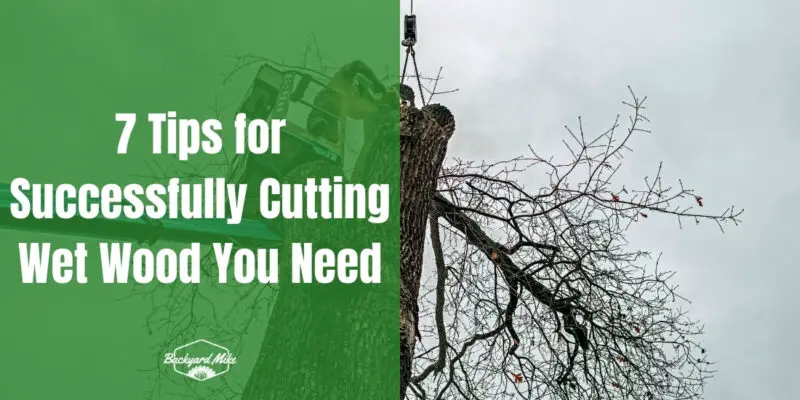 can you cut wet wood