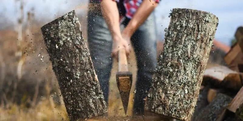 can you split fresh cut wood