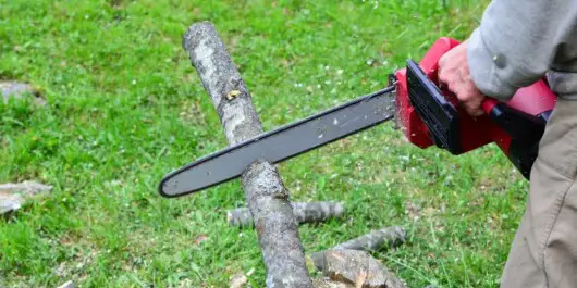 Can You Split Fresh Cut Wood, Or Should You Wait For It To Dry Before Cutting? 2 professional man cutting firewood using chainsaw