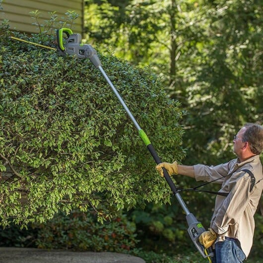 can you use a pole saw to trim hedges - hedge trimmer