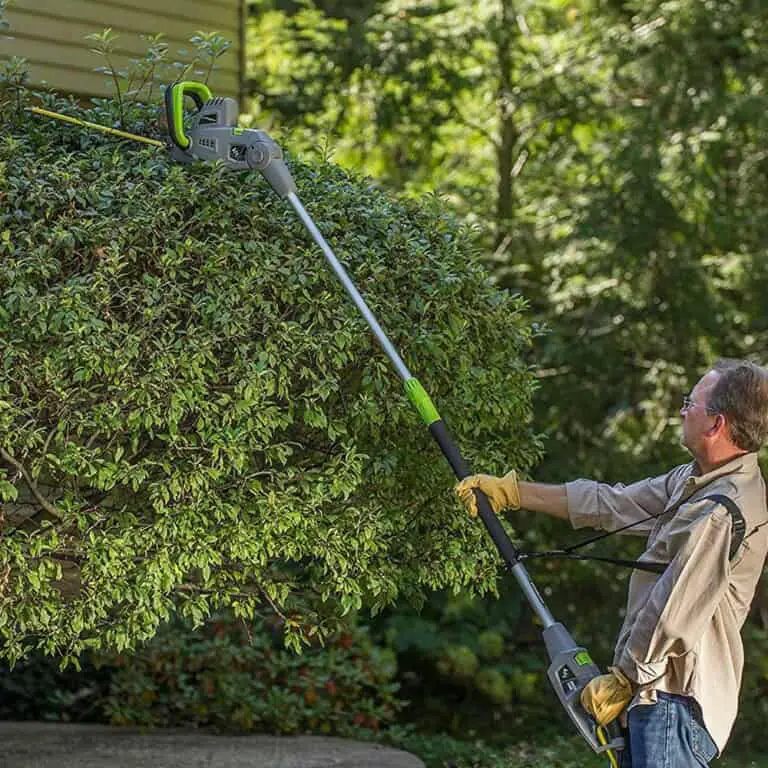 Can You Use A Pole Saw To Trim Hedges? Backyard Mike