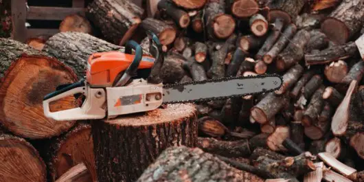 Stihl chainsaw on top of large log with pile of logs in the background